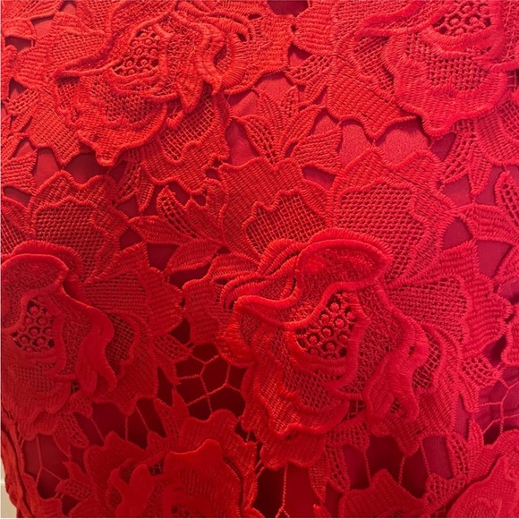 J. Crew | 24 | Luxe lace dress - Picture 7 of 9